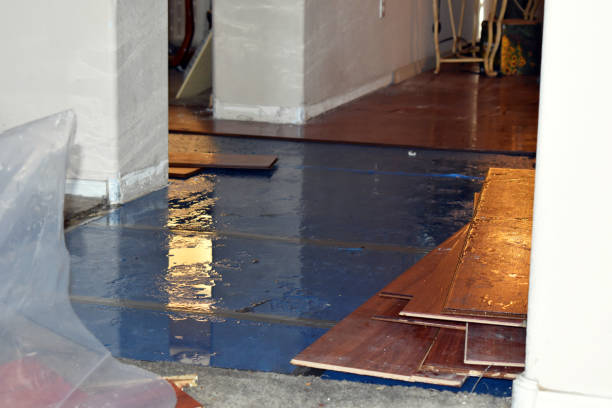 Professional Water Damage Restoration technician working in Hyde Park, MA